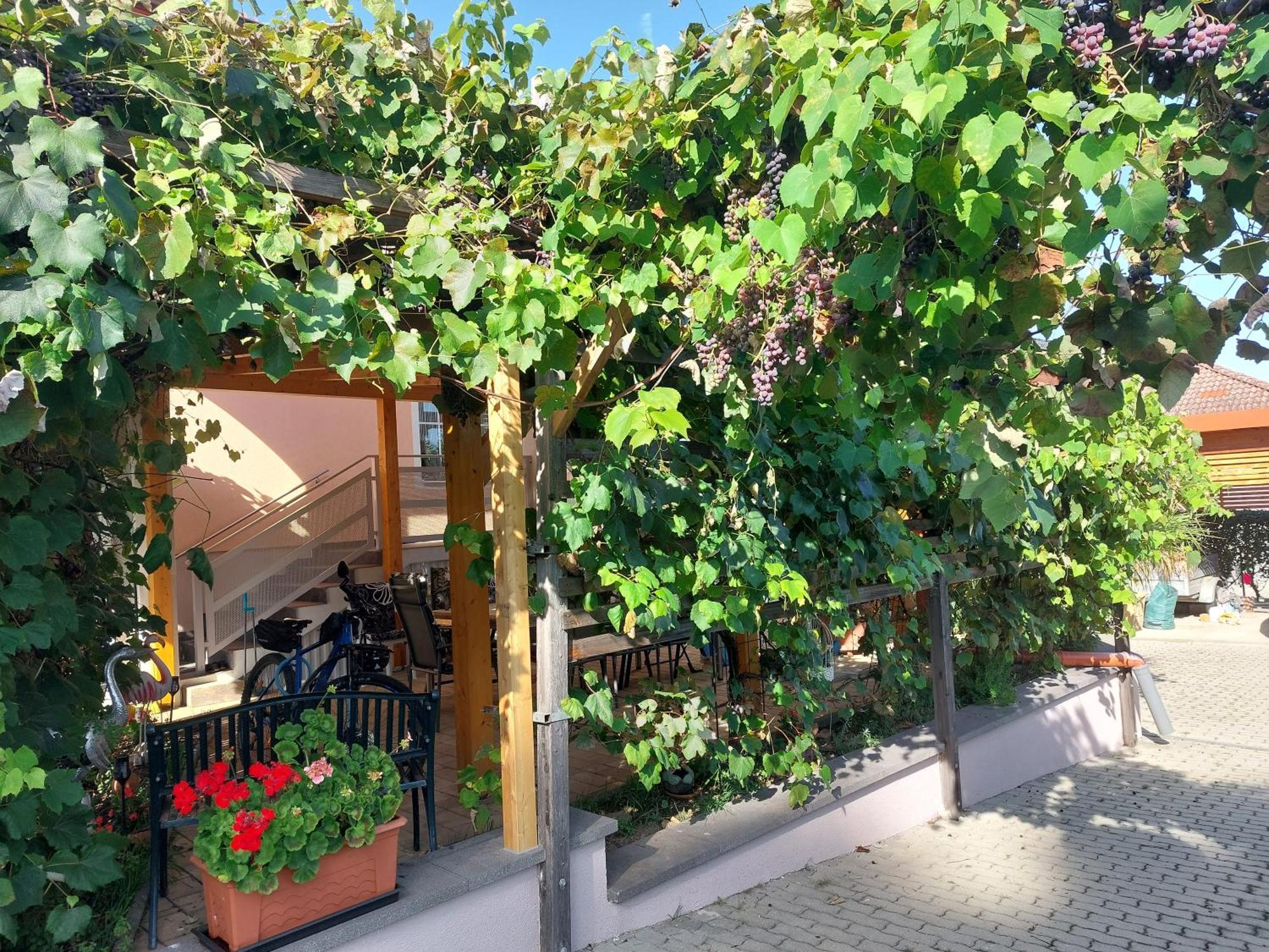פינקפלד Ferienwohnung Gerti מראה חיצוני תמונה